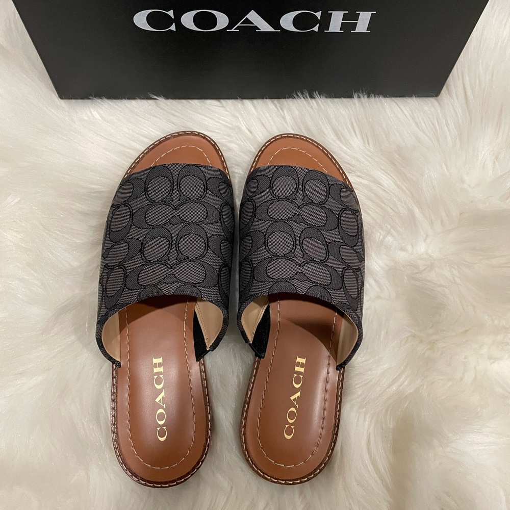 Coach Hazek signed sandal